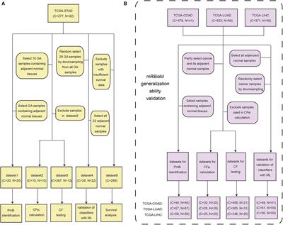 mRBioM: An Algorithm for the Identification of Potential mRNA Biomarkers From Complete Transcriptomic Profiles of Gastric Adenocarcinoma